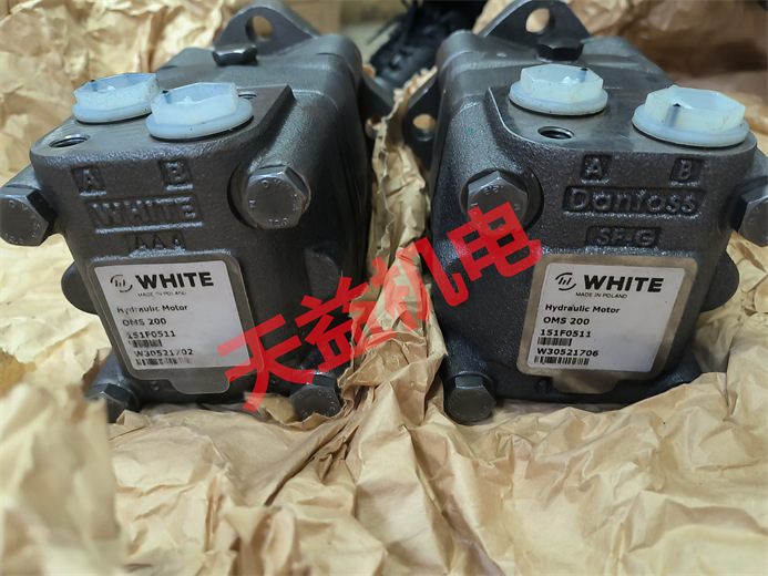 天益機電供應液壓氣動2024工業(yè)產品 "PT4624-20MPA-12 60-SIL2 1" "OMS 200 151F0511" "PALL 濾芯" "PALL 濾芯HC8314FRP16Z" 